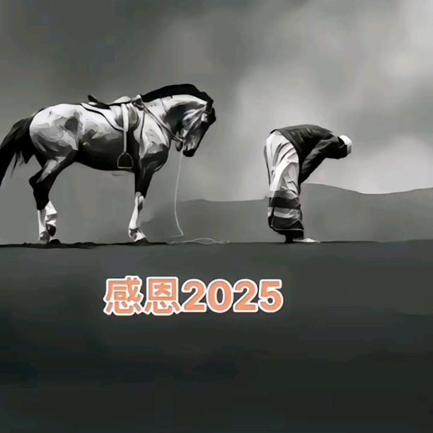 可可