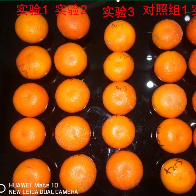 韦代杰