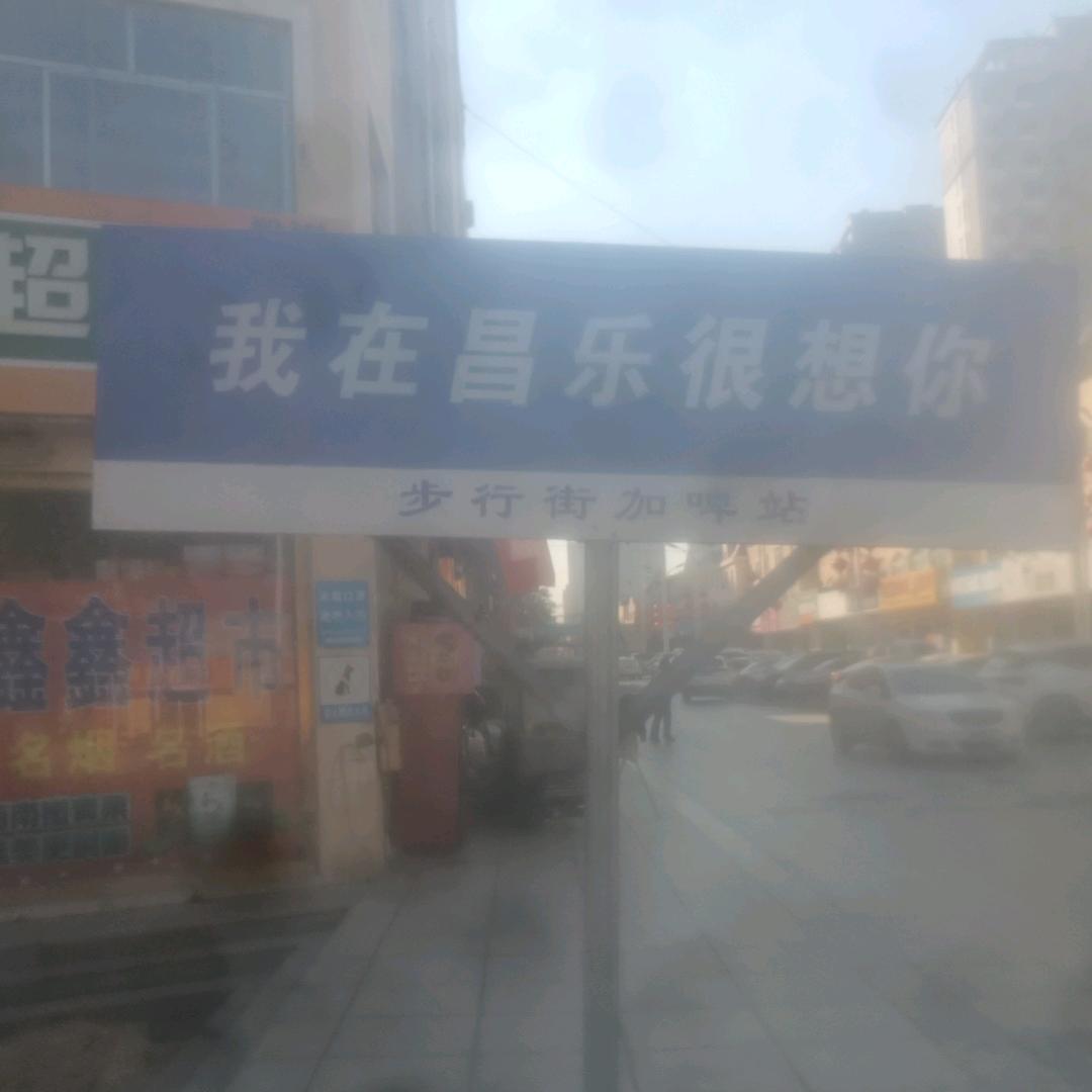章鱼先生