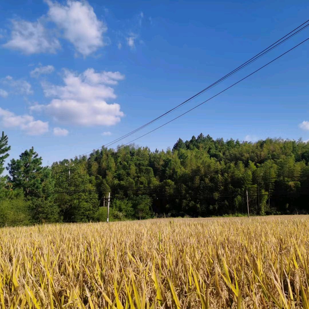 努力奋斗，才有出路。