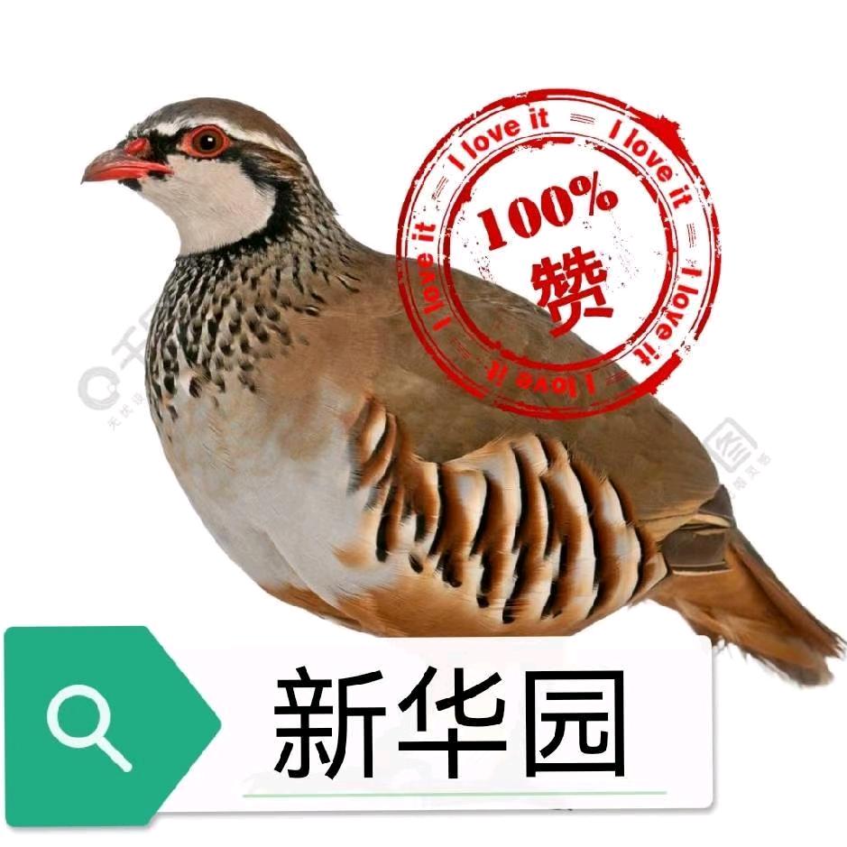 新华园