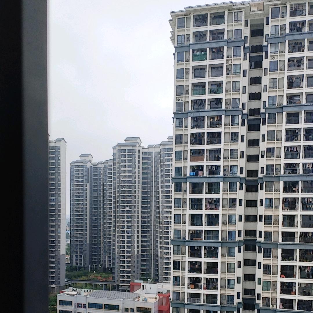 初识不知曲中意