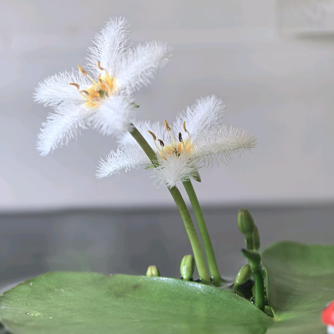 云想衣裳花想容