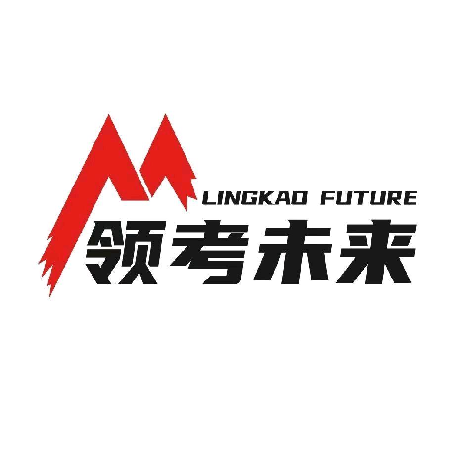 领考未来教育-大Z老师
