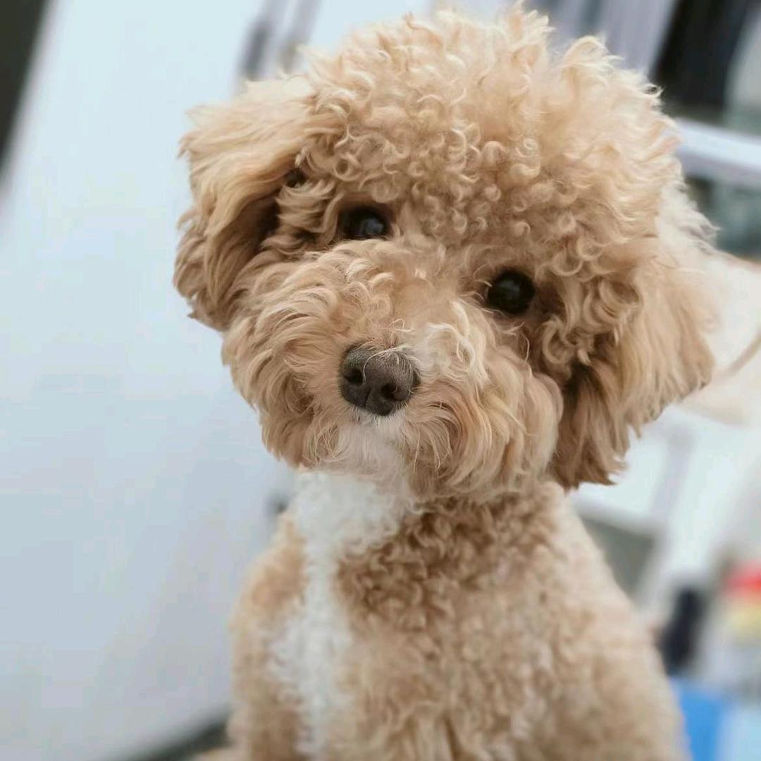 零零柒