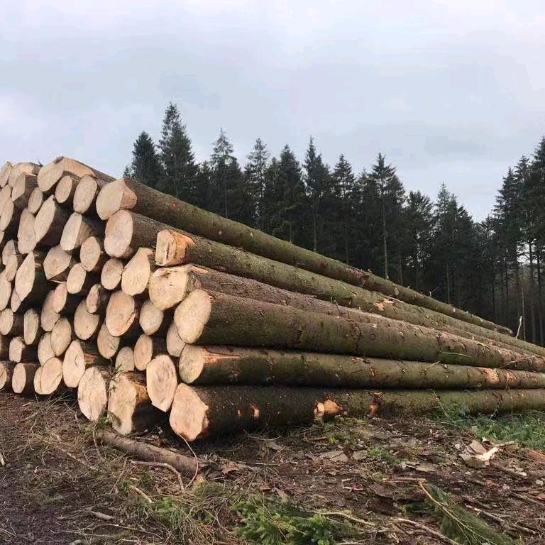 山东盛阳木材贸易