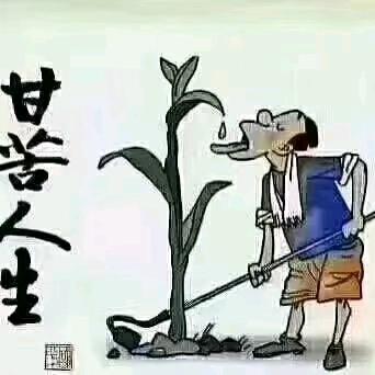 哥已不在江湖