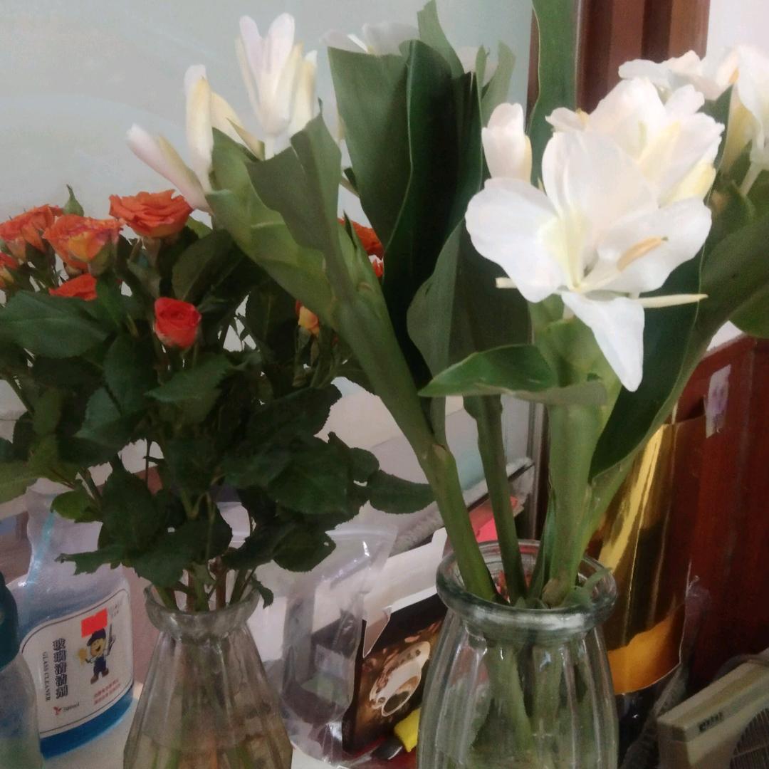 余生，只争朝夕