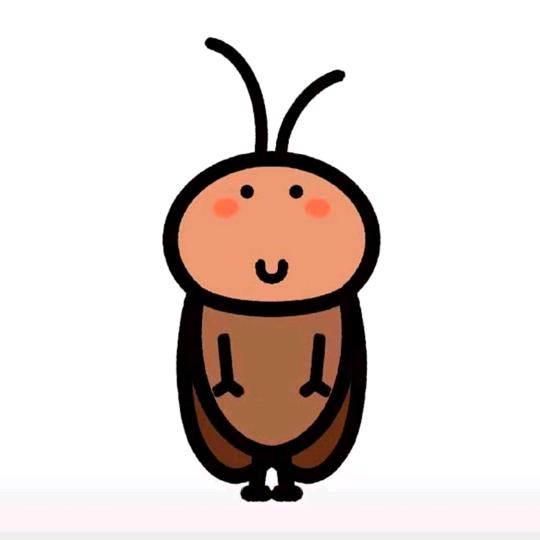 小蟑螂呆呆