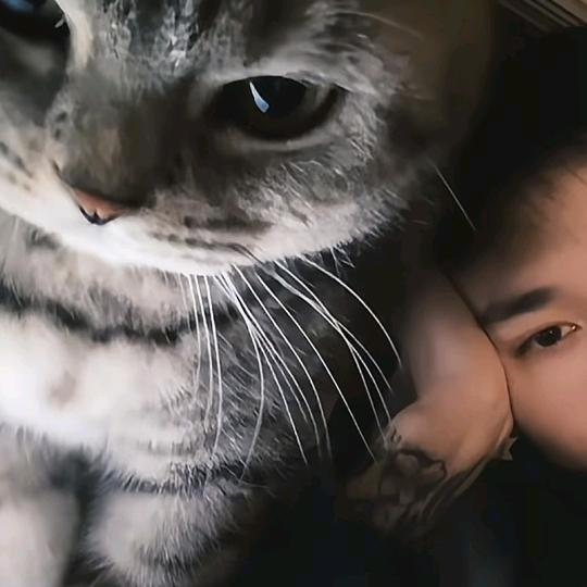 整开