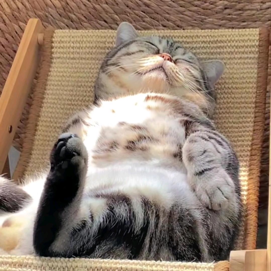 ⿻『風』╬