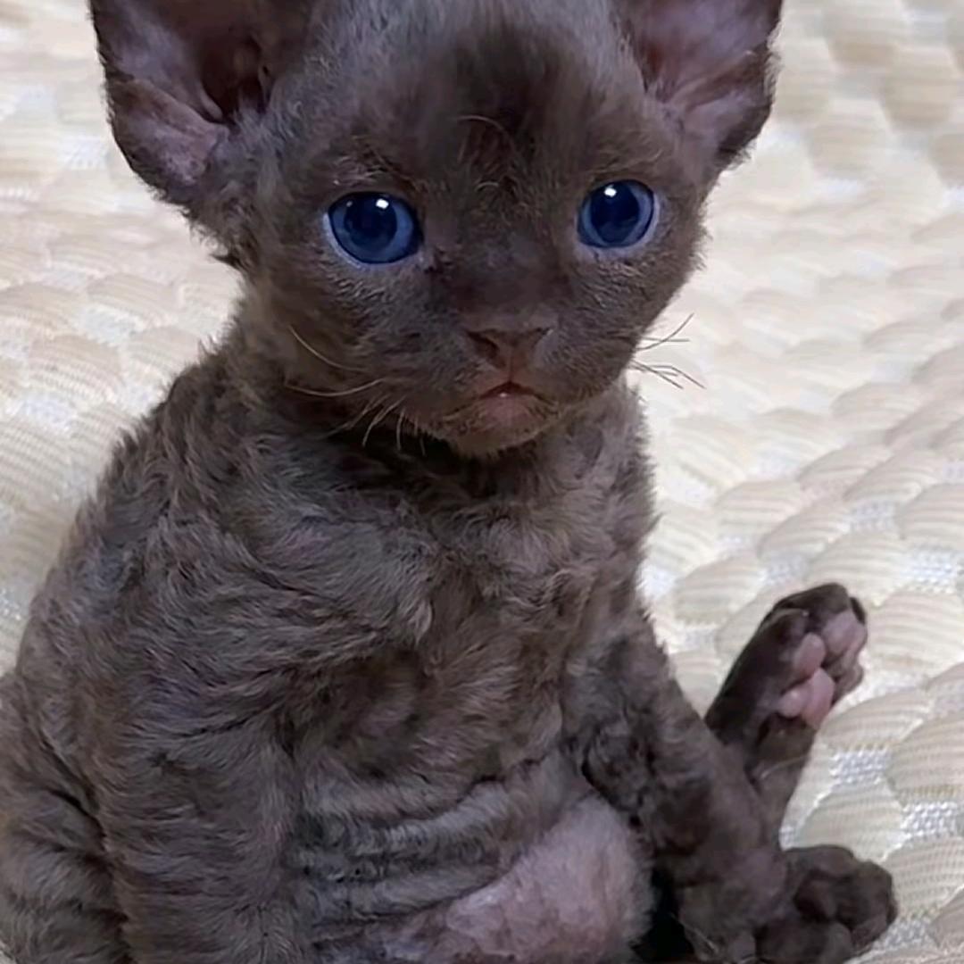 信仰