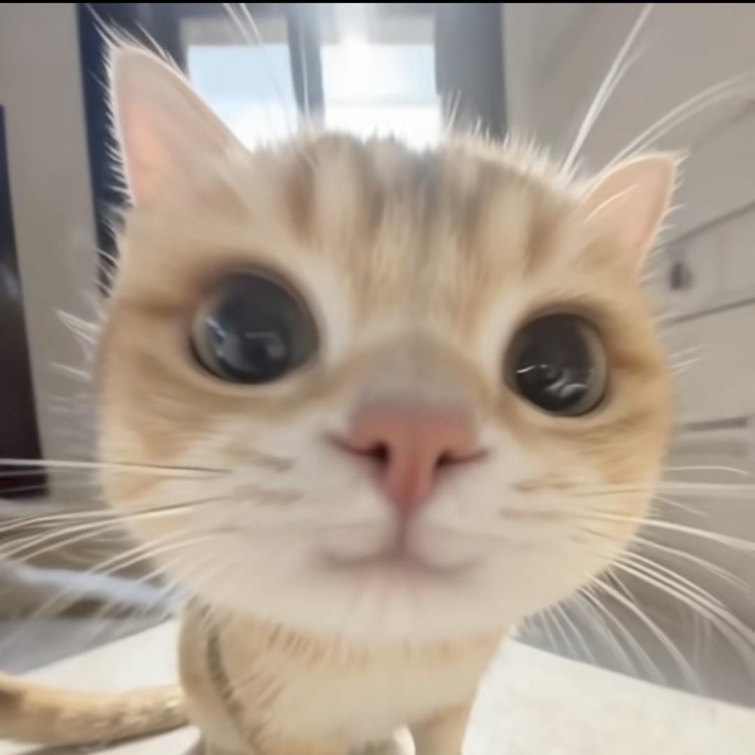 光挺常见的