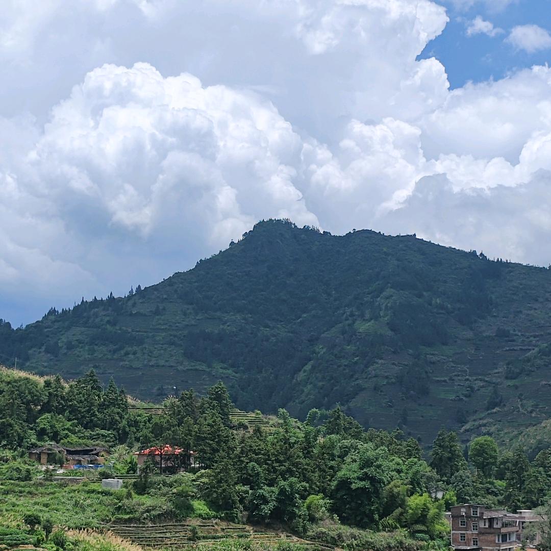 凤凤橱窗有好物欢迎大家选购