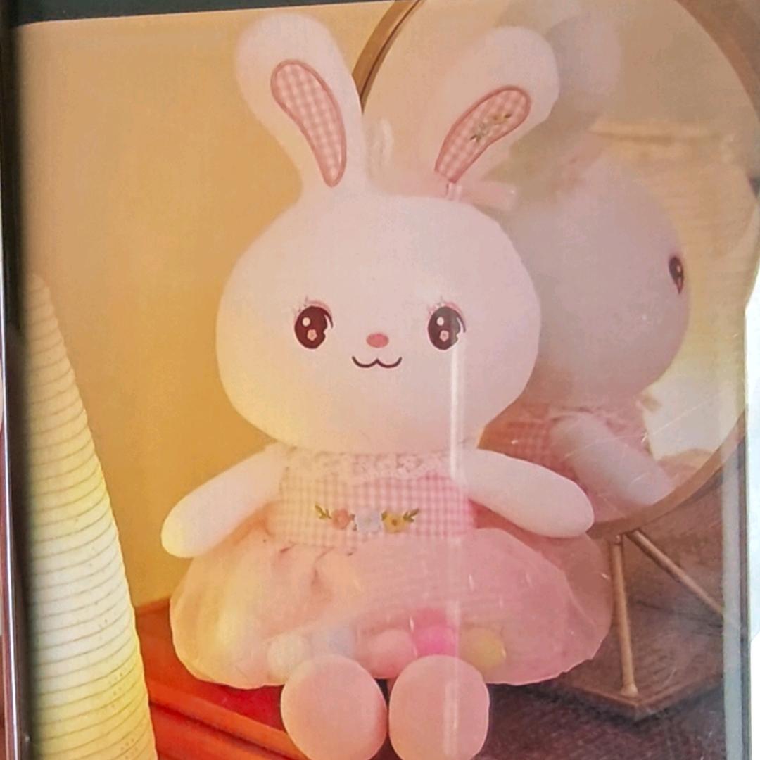 小白兔