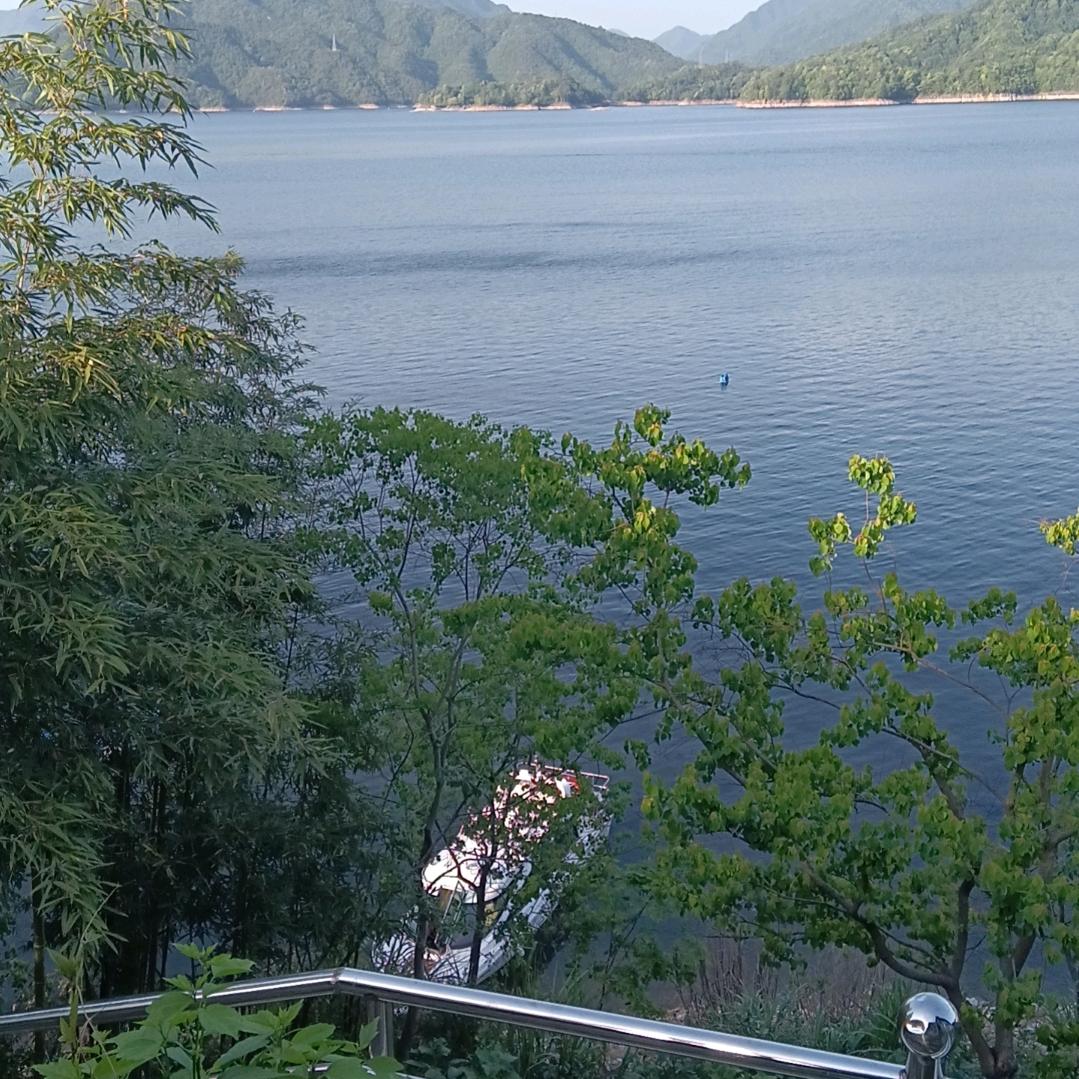 顺其自然