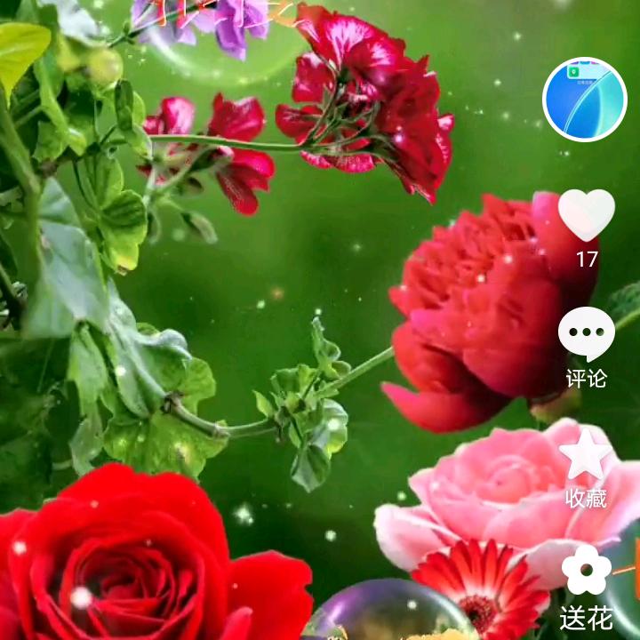老完同