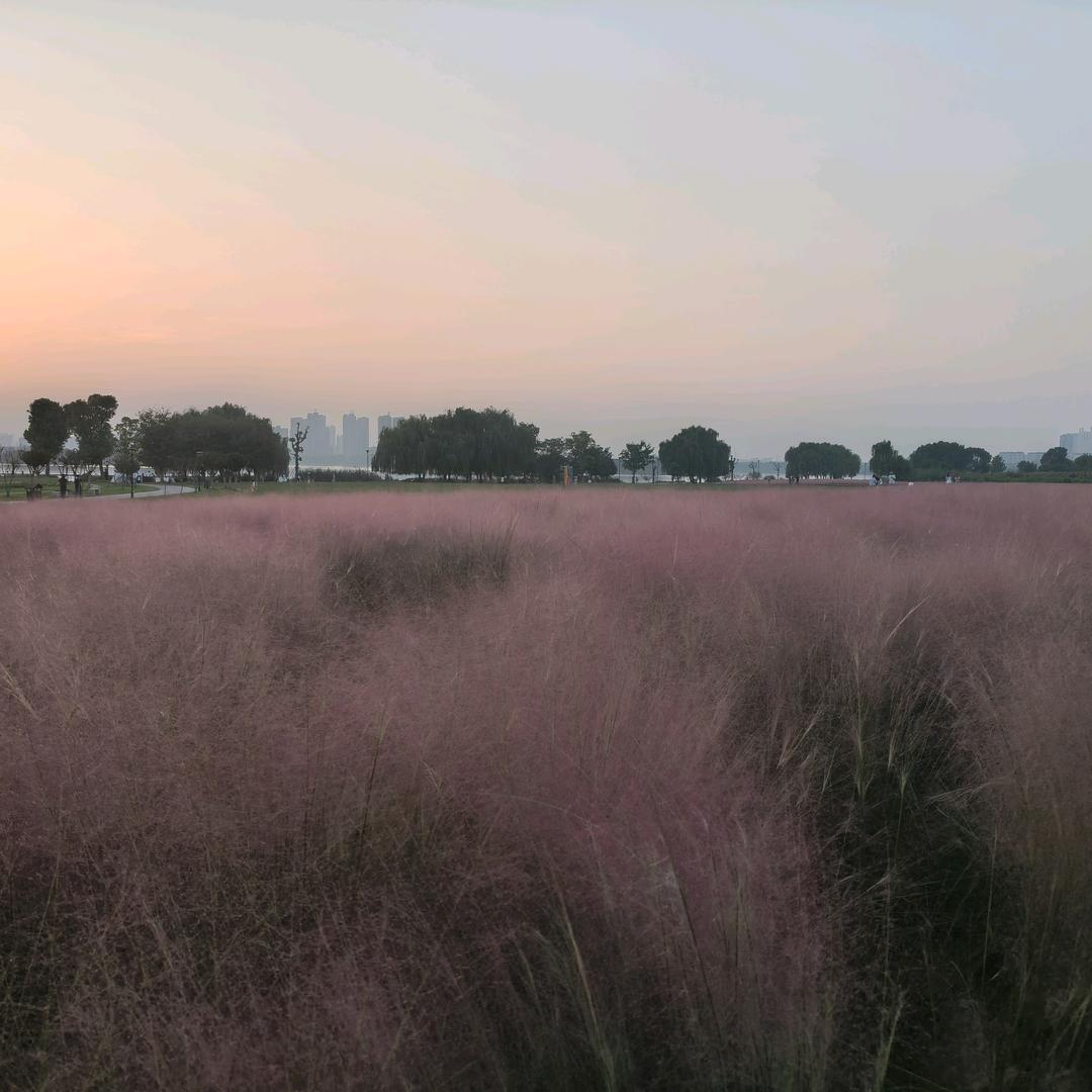 别无他求