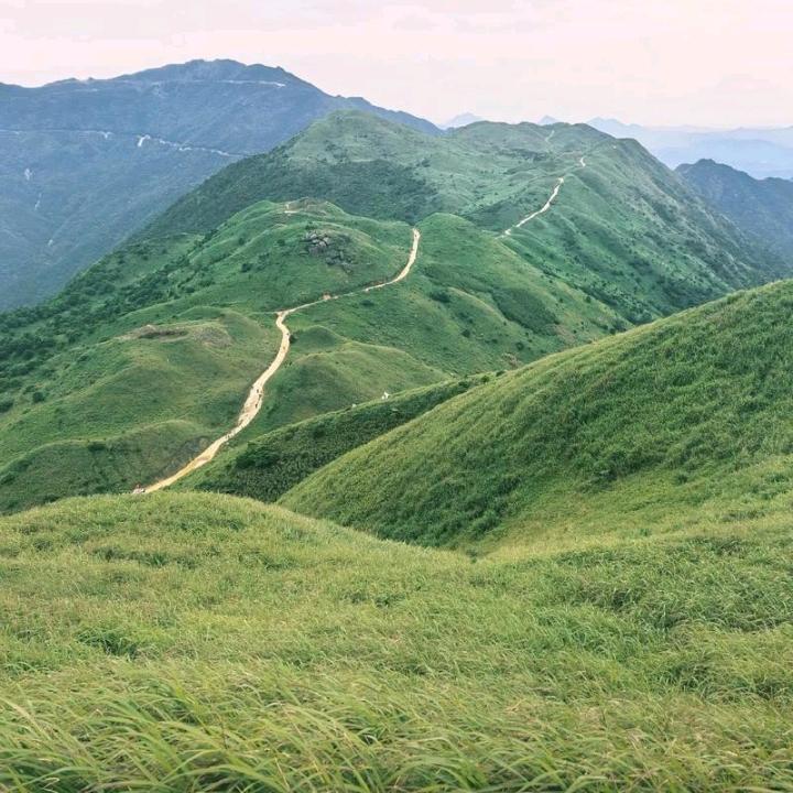 遇见好运