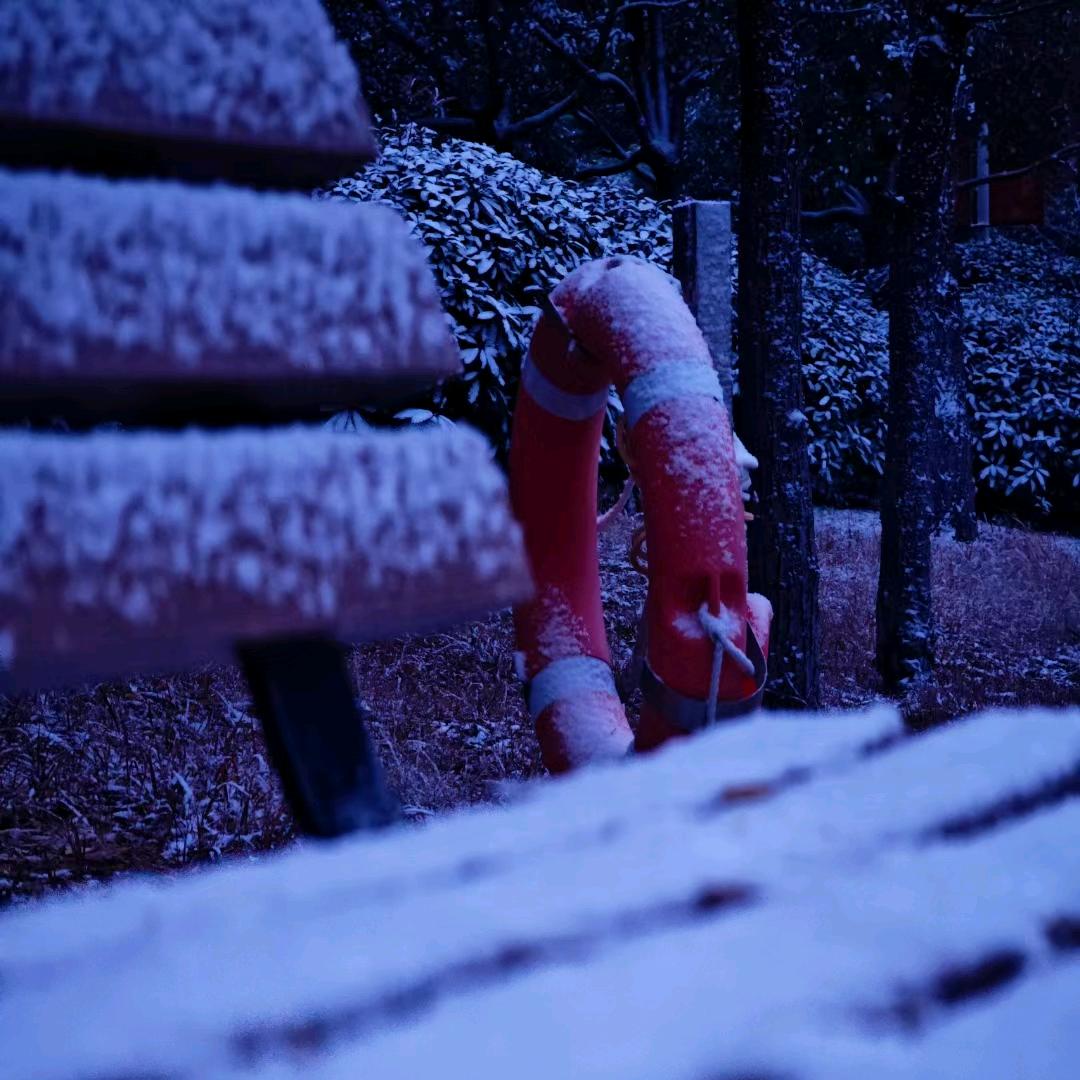 青笺