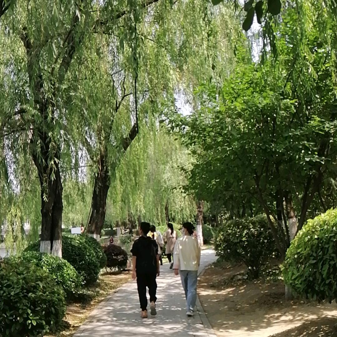 开心的燕子