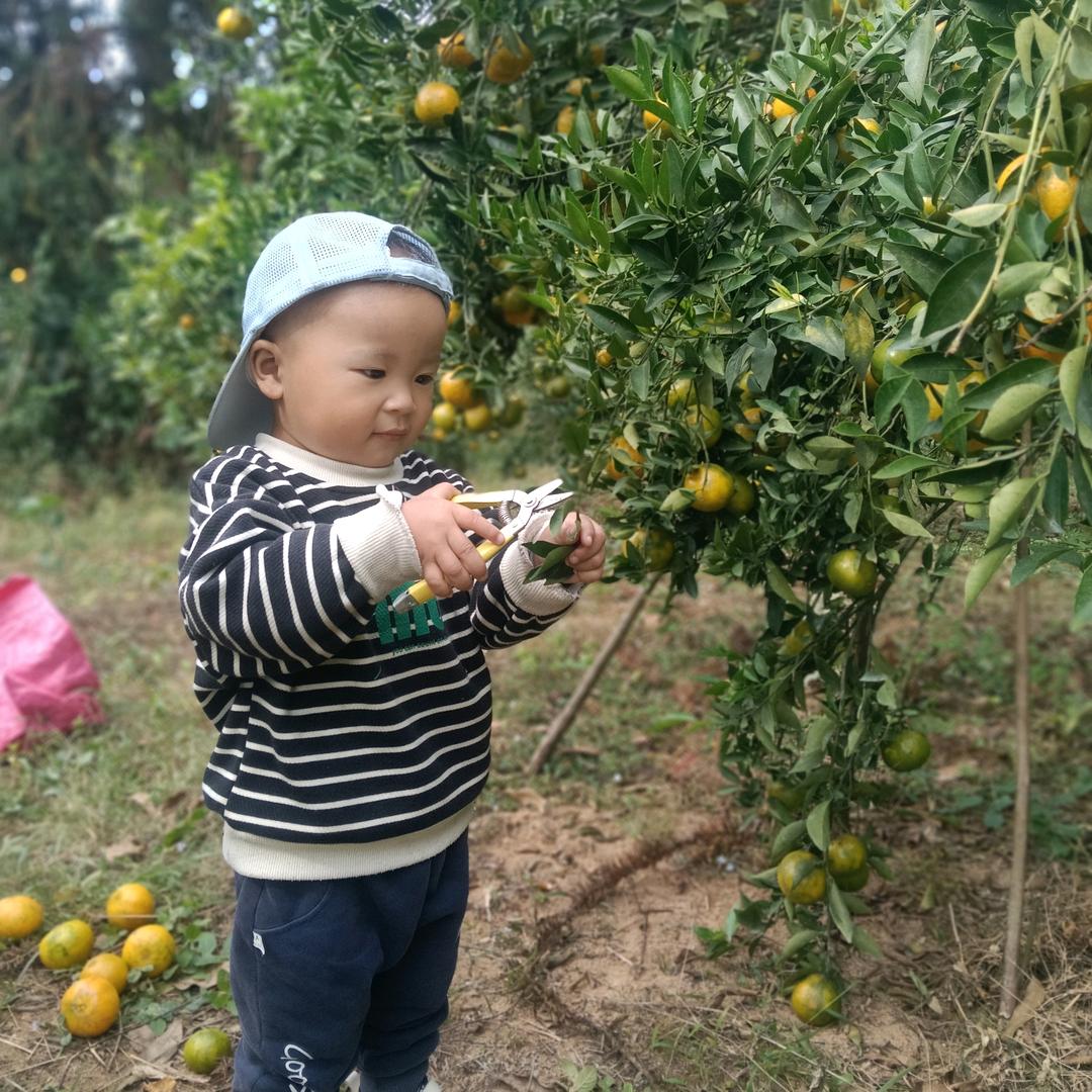 ＠淡然一笑
