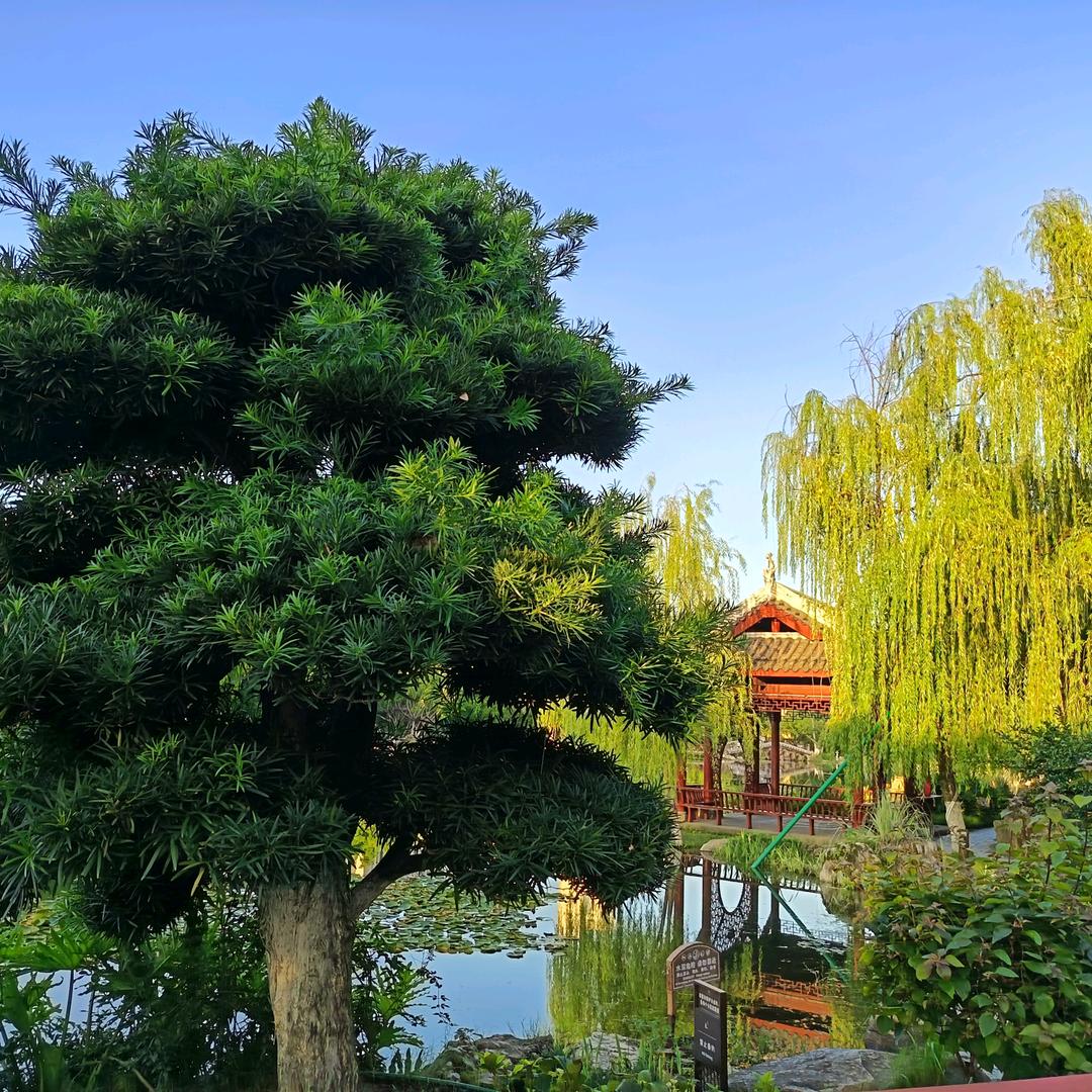 人生如戏，戏如人生