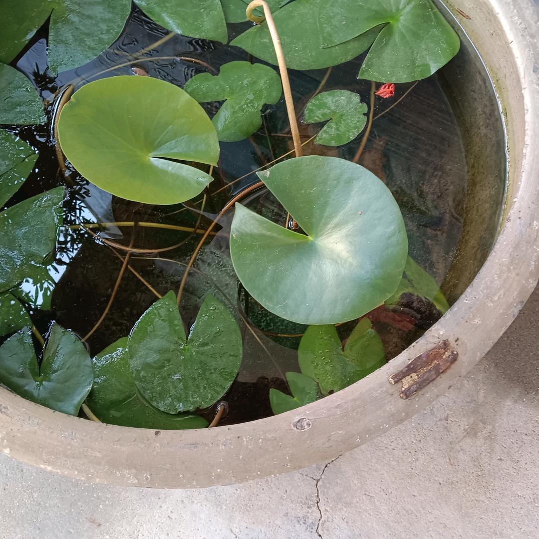 用户1164315674961勇