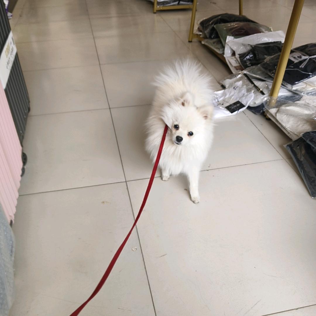 坤美儿精品坊