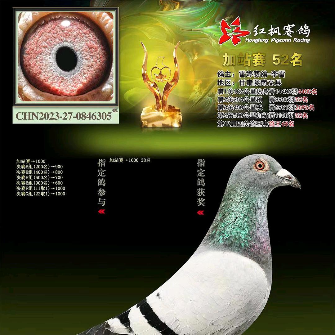 阴平！～z三少