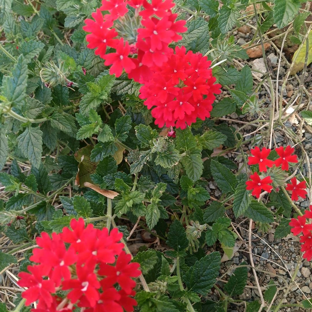 城外