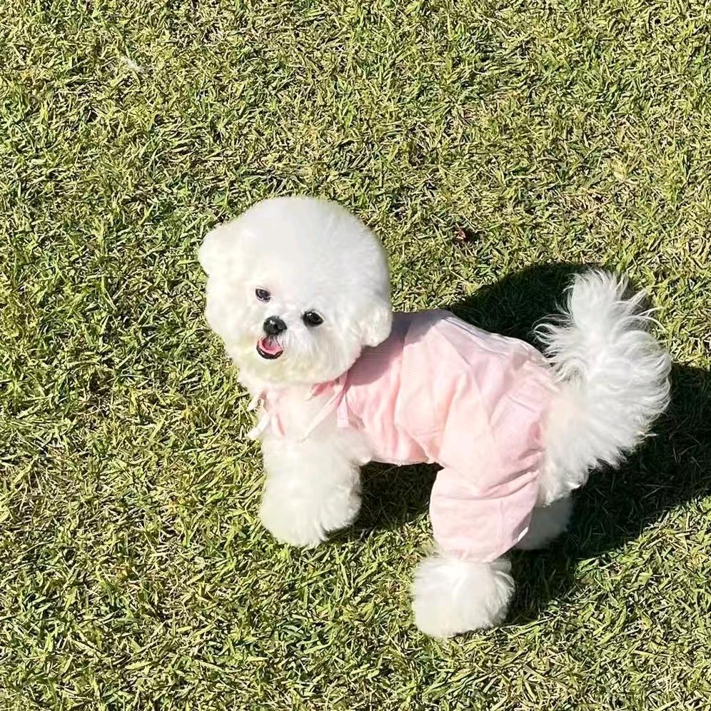 萌宠之家