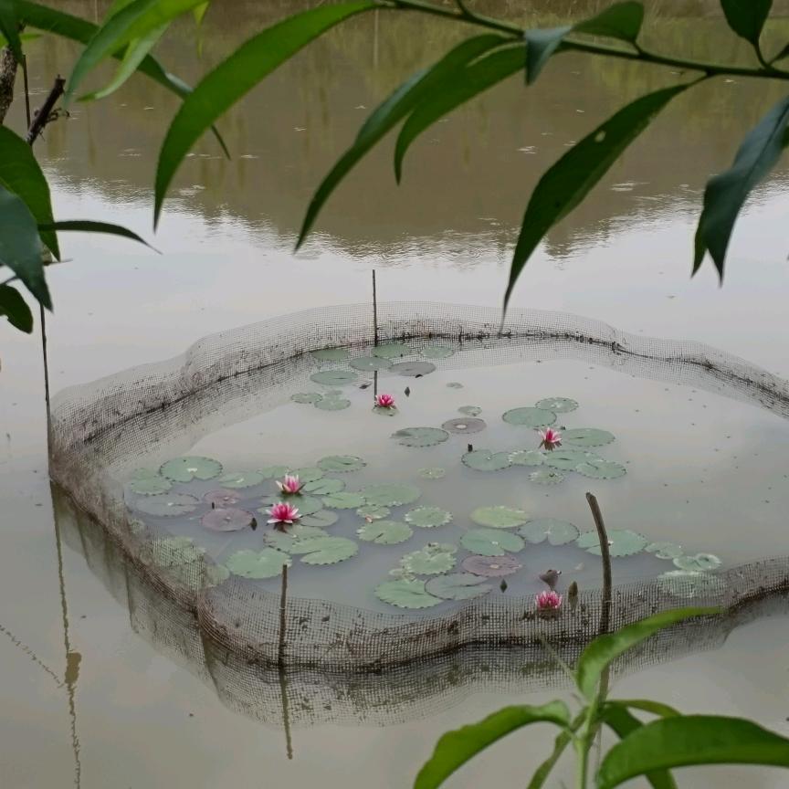 奋斗的李先森