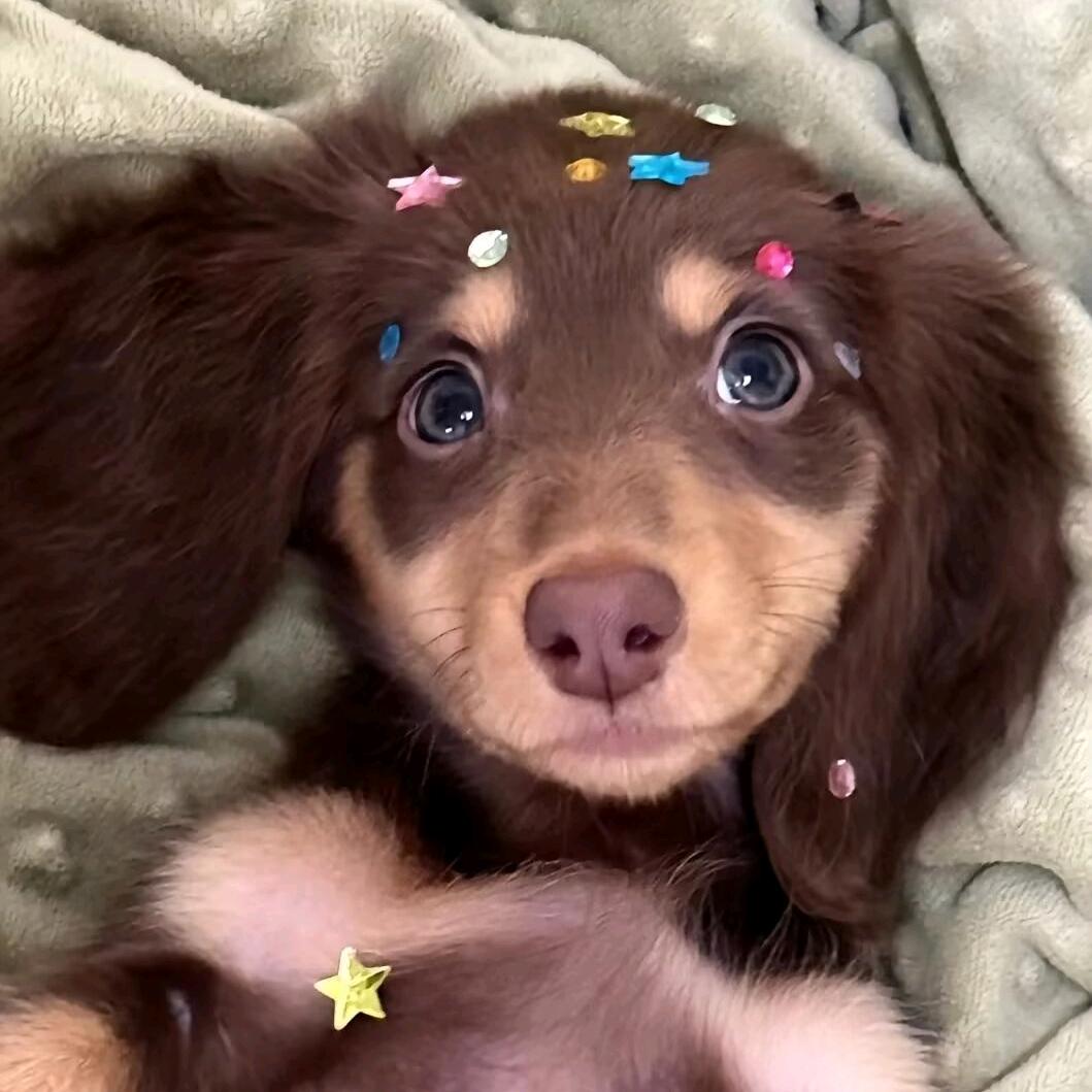 迷人的Dora