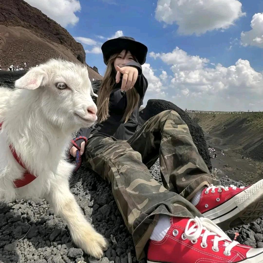 懒猫