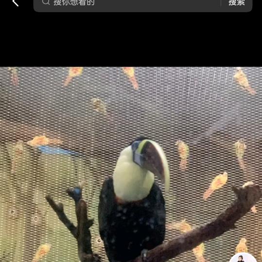 理发师大海