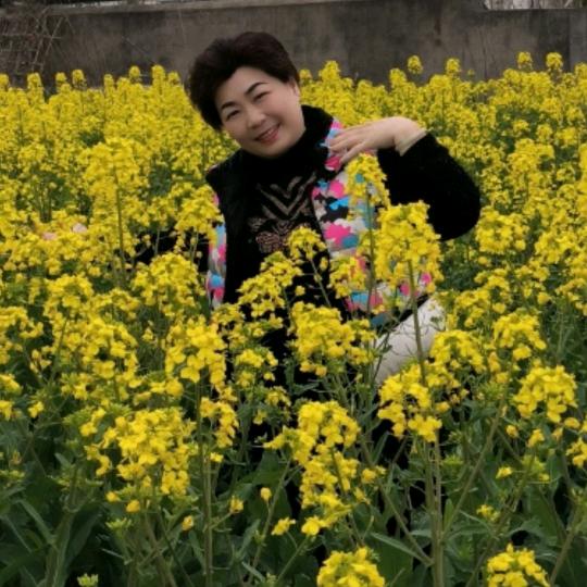 文文姐