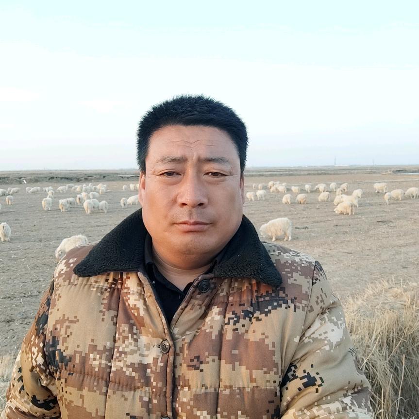 农村海亮（草羊肉）