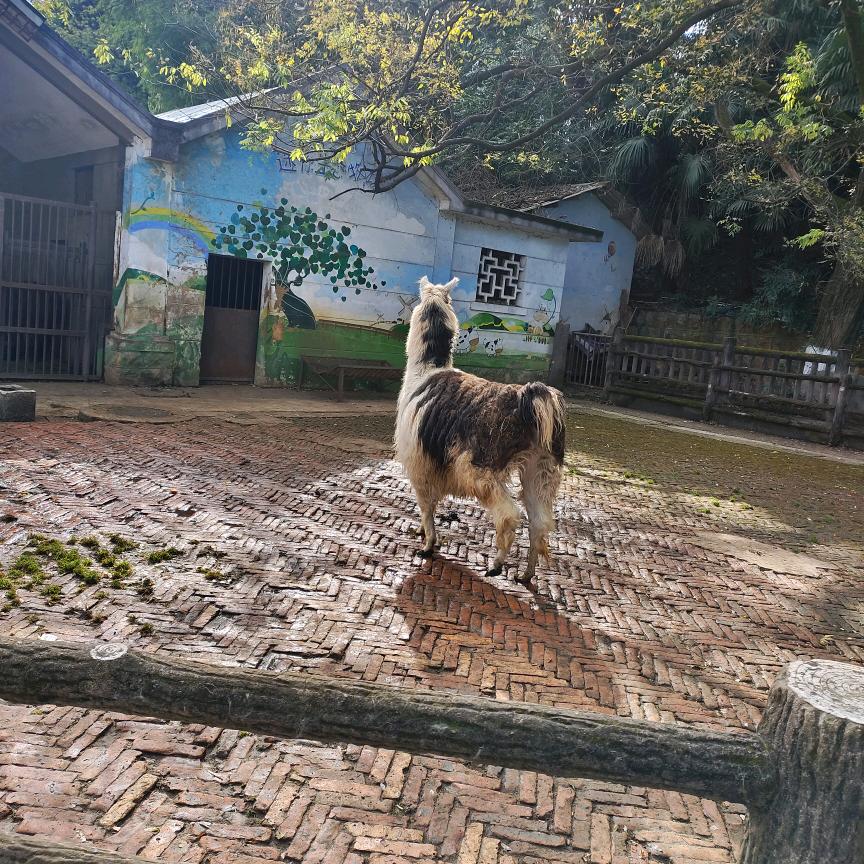 @阳光@
