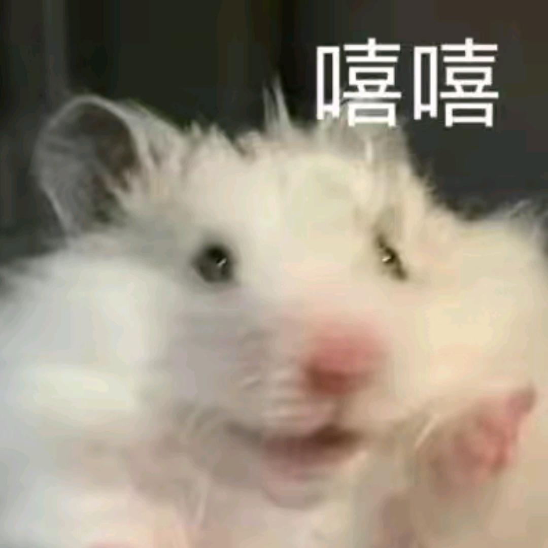 鼠鼠代送