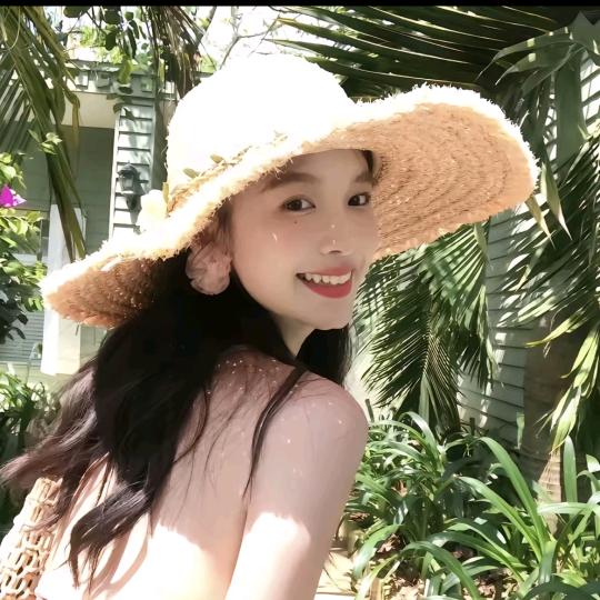 会飞飞飞飞的鱼