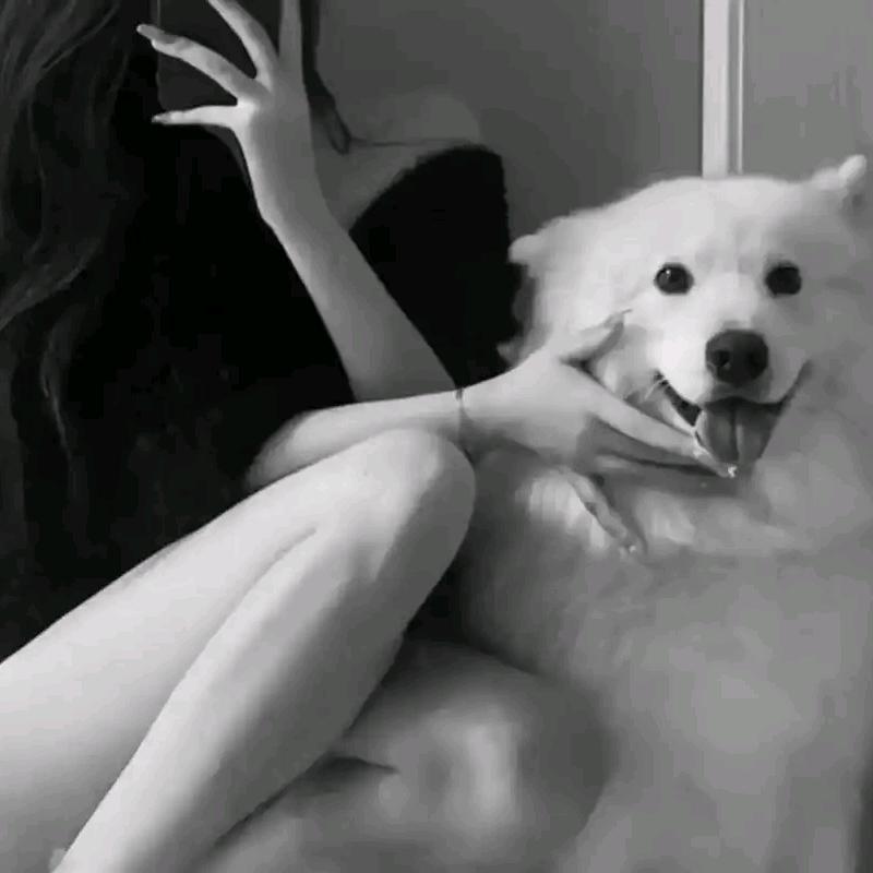 不曦曦