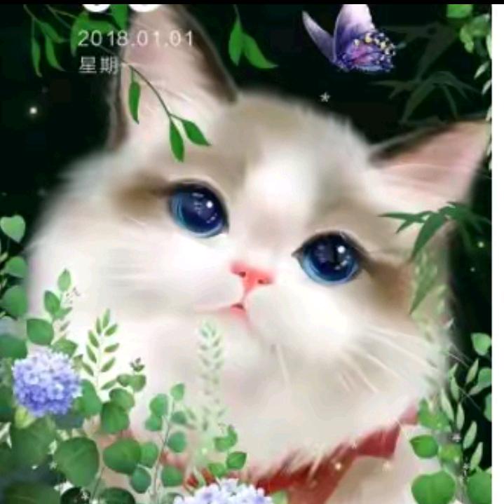 糖果《拒私聊》