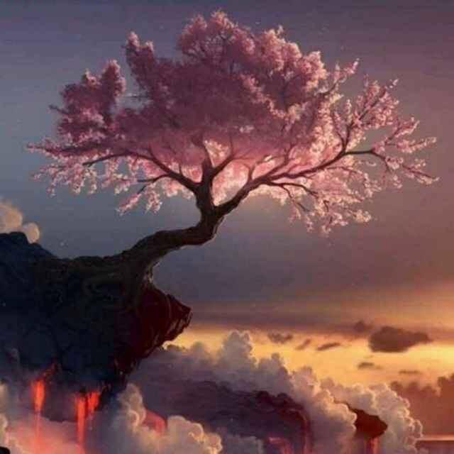 感恩有你