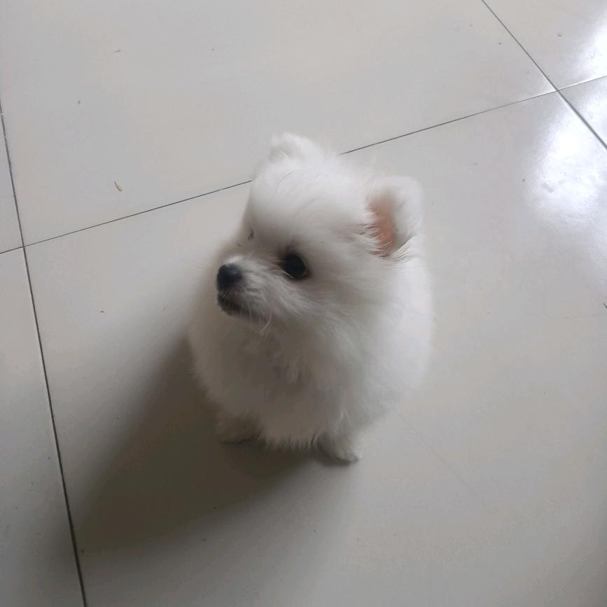 好想妳