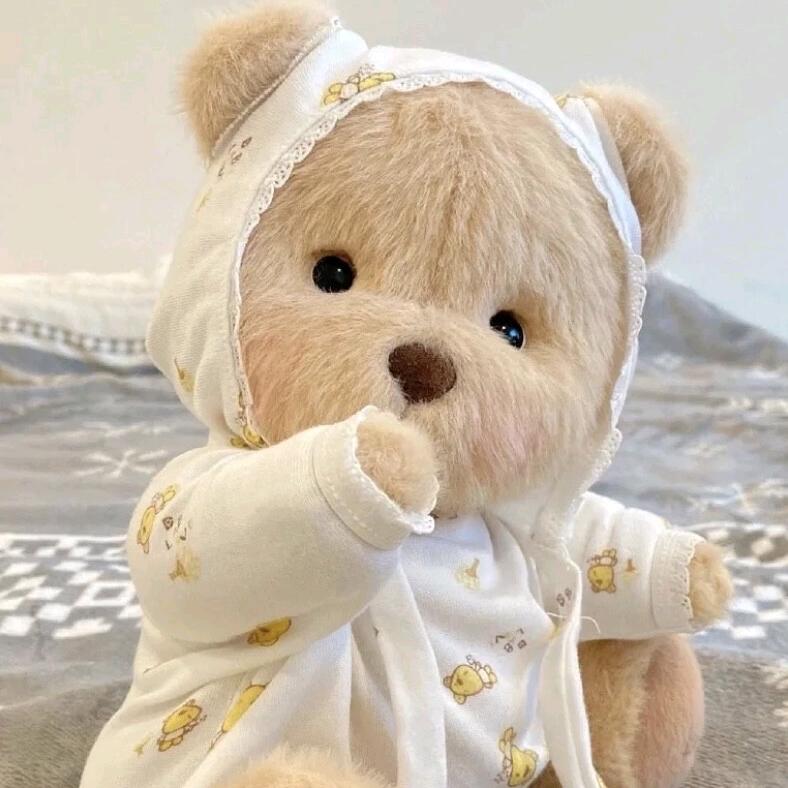 一只熊🧸