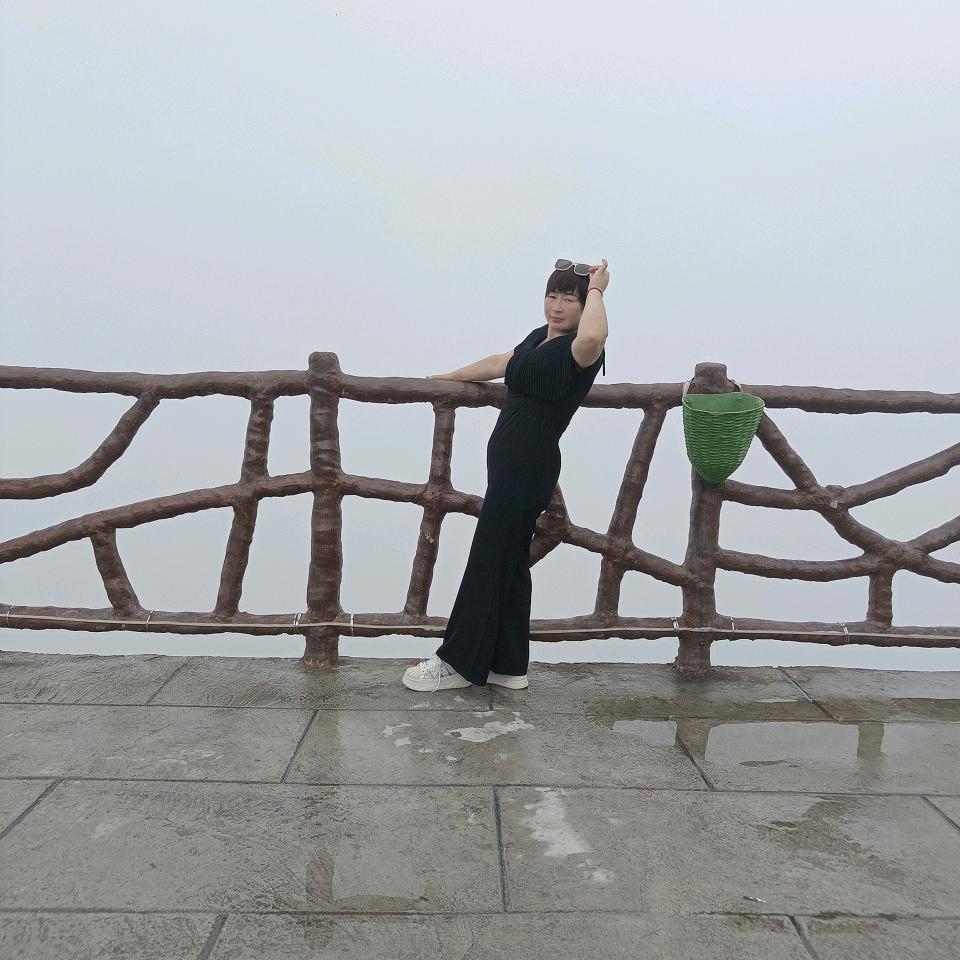 歧河金屋子窗帘张英