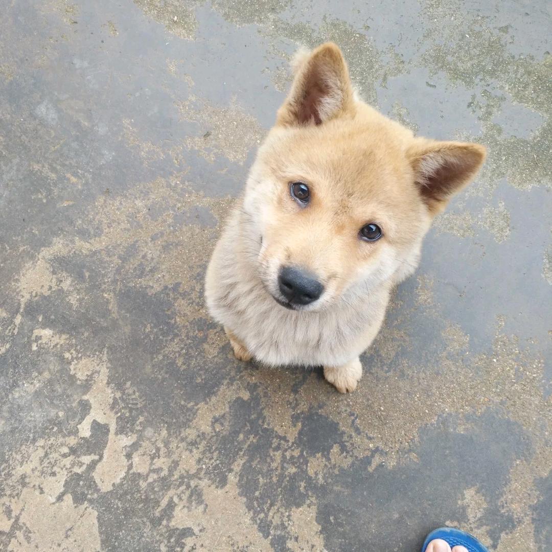@苏北渔乐