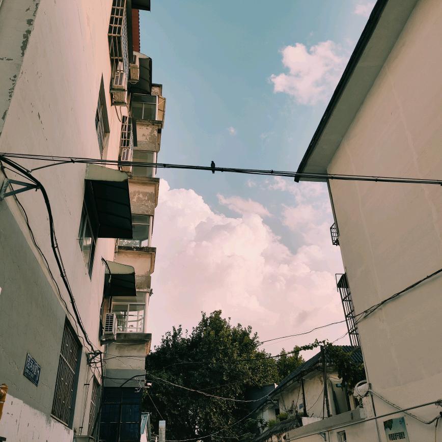 旺仔老灯