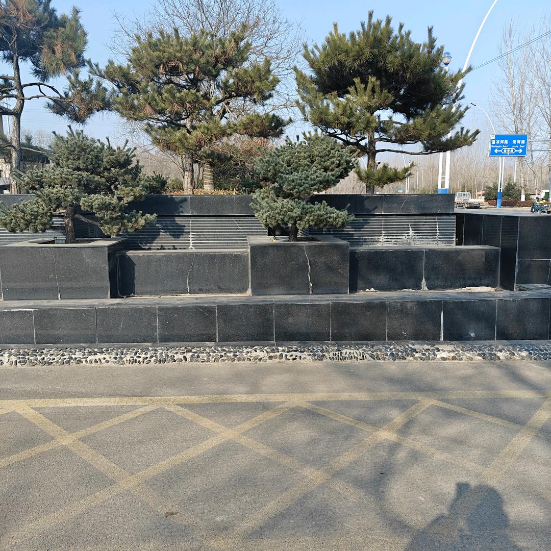 楠哥养老